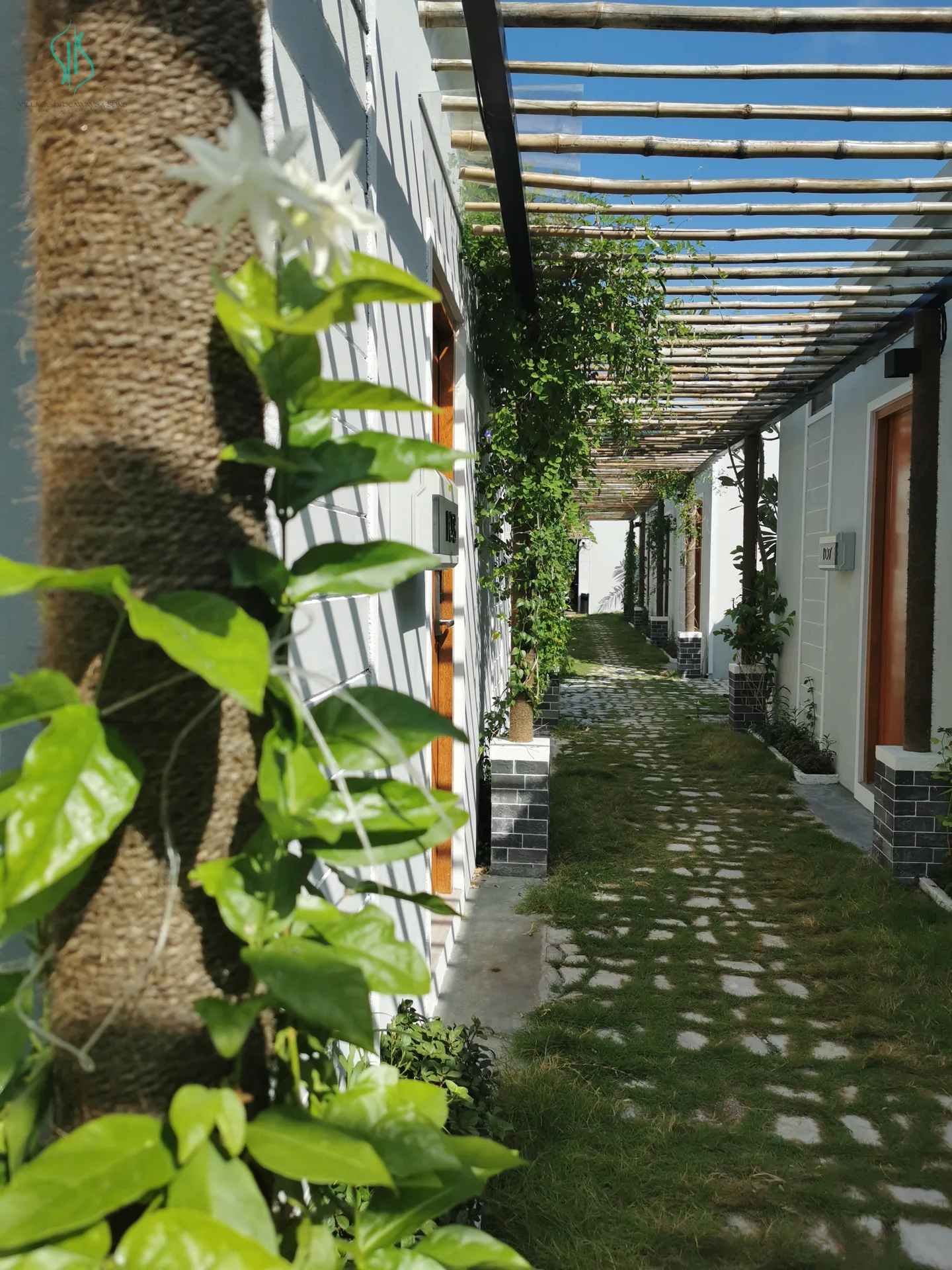 Sunlit garden path outside the hideaway rooms
