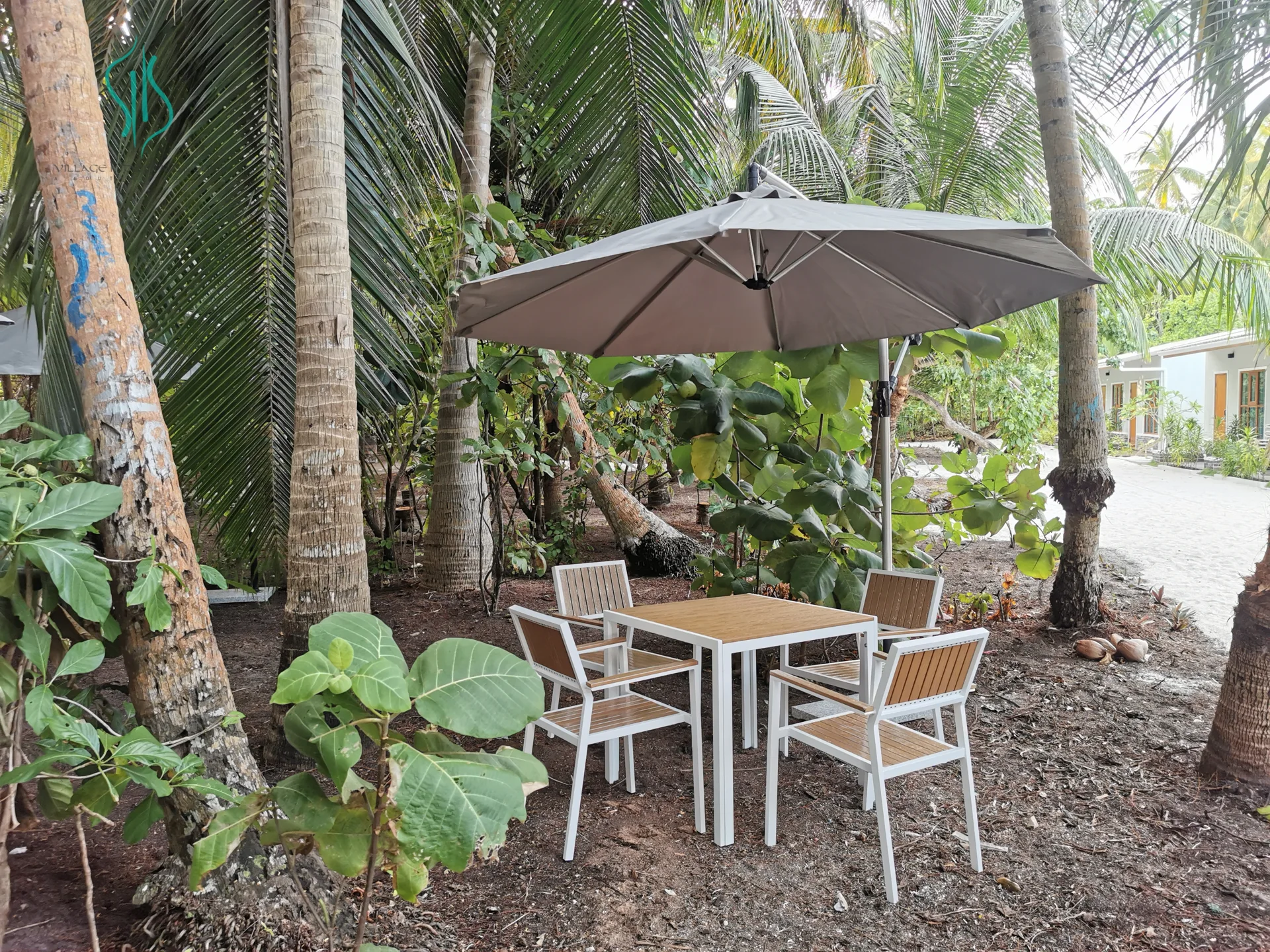 A quiet corner under the palms
