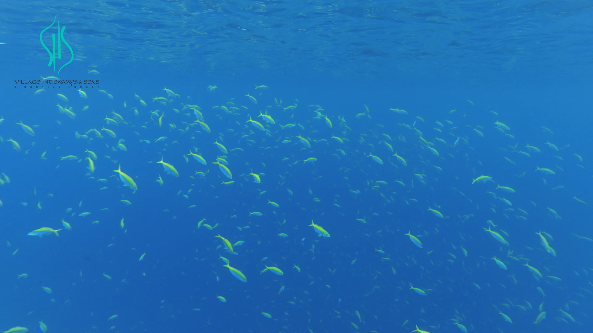 Beneath the surface / 1